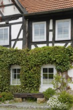 Half-timbered house, facade, window, climbing plant, wooden bench, Gönningen, district of