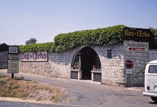 Vineyard Au Clos de l'Echo, Vignobles Couly Dutheil, Chinon, France 1976