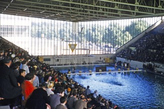 Crowds in the swimming pool during high diving at the Summer Olympics, Melbourne, Australia, 1956,