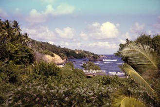 Coastal landscape bridge on coast road, Balandra, Trinidad 1963