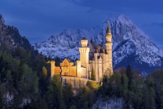 Neuschwanstein Castle near Füssen, Schwangau, Allgäu Alps, night shot, illuminated, snow, East