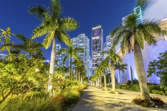 Miami skyline with skyscrapers at Maurice A. Ferré Park at night in Miami, USA, North America