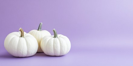 Banner with three large white pumpkins on pastel violet background with copy space. Generative Ai,