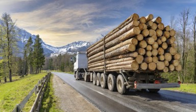 Forestry, timber industry, lorry, long timber transporter loaded with logs, on the road, AI