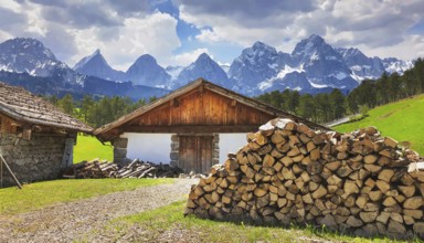 Forestry, timber industry, firewood stacked in front of a farmhouse, AI generated, AI generated