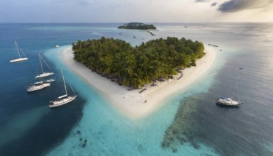 Symbol, small heart-shaped island in the sea, love island, honeymoon, palm beach, aerial view,