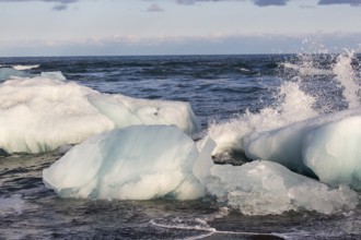 Little icebergs and crushed ice on the black beach at Joekulsarlon glacial lake