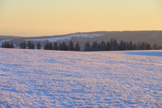 Snow-covered landscape with trees on the horizon in the light of sunrise, winter, Wasserkuppe,