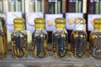 Choum, rice liquor, rice wine with pickled scorpions and Snakes for sale, Laos, Asia