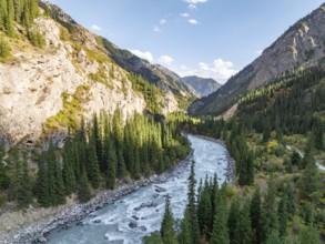 Mountain landscape with river in a narrow mountain valley in autumn, Little Naryn or Kichi-Naryn,