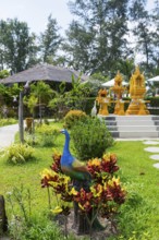 Small Buddhist temple, decorated, golden, gilded, religion, faith, world religion, Buddhism, Asian,