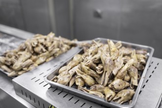 Production of salted duck heads in the Nan Jing Ying Tao Yo Co. Ltd. factory, a popular snack, the