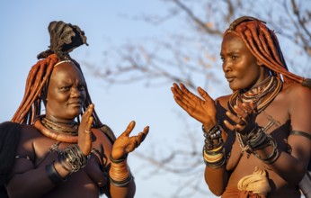 Traditional Himba woman clapping, music and dance, portraits, in the evening light, near Opuwo,