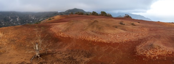 Various colourful rock layers in the rock, La Gomera, Canary Islands, Spain, Europe