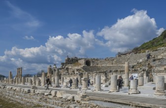 Bouleuterion or Odeon, also Odeion or Odeum, small amphitheatre, excavations, Ephesus, Ephesus,