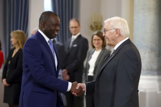 Cheikh Tidiane Sall Senegal is received by Frank-Walter Steinmeier (President of the Federal