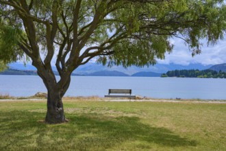 A peaceful landscape with a tree and a bench on the shore of a lake, surrounded by mountains,