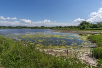 Small Noor in the nature reserve Holnis peninsula, nature reserve on the Flensburg Fjord, inland