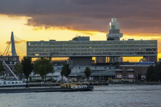 The skyline of Rotterdam, on the left the Unilever office building De Bruk, river the Nieuwe Maas,