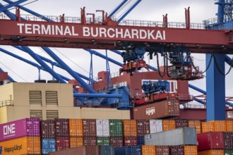 HMM Nuri container freighter, at HHLA Container Terminal Burchardkai, in Waltershofer Hafen, being