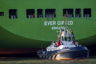 Container ship Ever Gifted, arriving at the port of Hamburg, Waltershofer Hafen, HHLA Container