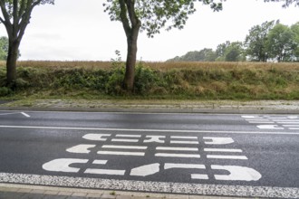 Bus shelter, bus stop Schalloh, in the countryside, Sauerland, near Soest-Bergede, country road