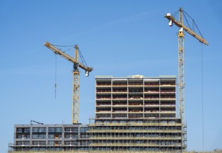 Construction site, new construction of high-rise residential buildings, Havenkwartier Katendrecht