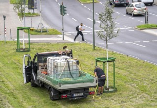 Watering of young urban trees, in summer, artificial irrigation by a mobile service, Düsseldorf