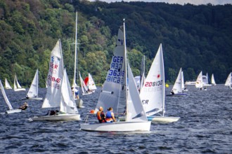 Lake Baldeney, sailing regatta, laser and dinghy class, Essen, North Rhine-Westphalia, Germany,