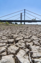 Rhine at Duisburg, extremely low water, Rhine level at 168 cm, tendency falling, after the long