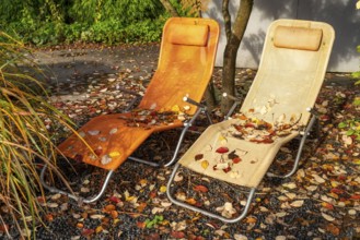 Model gardens in Grugapark, autumn, horticultural design of different gardening styles Essen, North