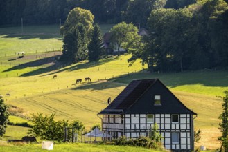 Landscape in Elfringhauser Schweiz, Hattingen, city limits to Sprockhövel, paddock, half-timbered