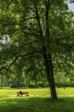 Witthausbusch City Park, Mülheim an der Ruhr, North Rhine-Westphalia, Germany, Europe