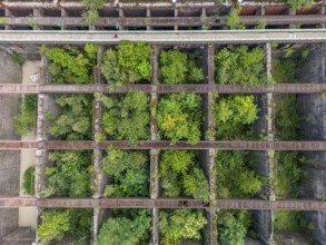 Duisburg-Nord Landscape Park, former Thyssen steelworks, closed in 1985, since then trees have been