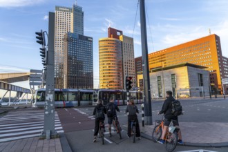 Office tower blocks on Wilhelminaplein, on the Nieuwe Maas, Kop van Zuid, Rotterdam, Netherlands