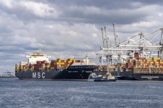 ECT Delta Container Terminal, in Europahaven, MSC Laura container freighter being towed by harbour