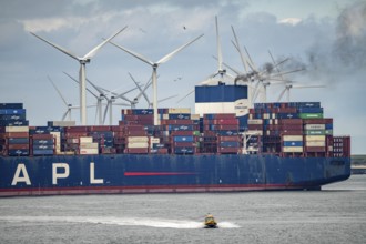 Entrance to the seaport of Rotterdam, APL Raffles container freighter, entering Maasvlakte 2, wind