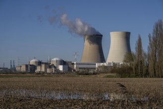 The Doel nuclear power plant on the Scheldt, one of two nuclear power plants in Belgium, consists