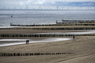 North Sea coast in Zeeland, called Zeeland Riviera, breakwater, made of wooden piles, near