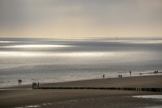 Evening mood on the North Sea beach near Zoutelande, Zeeland, anglers, walkers, breakwater,