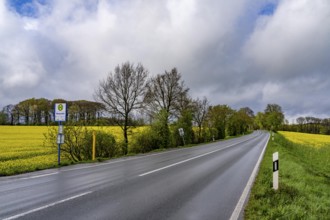 Bus stop, local transport in the countryside, near Breckerfeld, Neuenloh stop, on the L528,