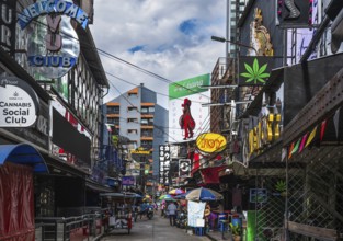 Nightlife Signpost Forest Soi Cowboy, Bangkok, Thailand, Asia