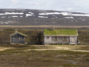 Holiday homes, in Tundra landscape, Varanger National Park, Varanger Fjord, May, Norway, Europe