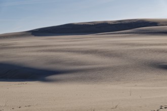 Dune landscape around the Lontz Dune, Wydma Lacka, the largest travelling dune on the Polish Baltic