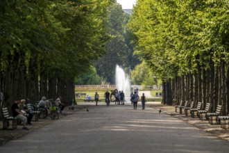 The Jägerhofallee in the Hofgarten, the central municipal park in Düsseldorf, view of the Jröner