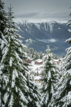 Snow-covered landscape with holiday homes in the Aletsch region, winter, fir trees, snow, Alps,