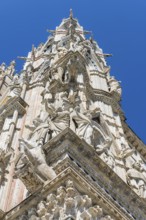 Cathedral, old town, architecture, landmark, travel, tourism, blue sky, Siena, Tuscany, Italy,