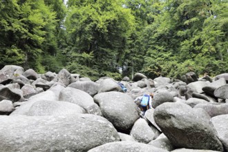 The famous rock boulder in the Odenwald above Lautertal-Reichenbach