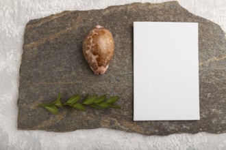 White paper business card, mockup with natural stone, seashell and boxwood branch on gray concrete