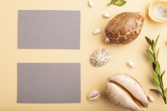 Composition of gray paper business cards, seashells, green boxwood. mockup on orange background.